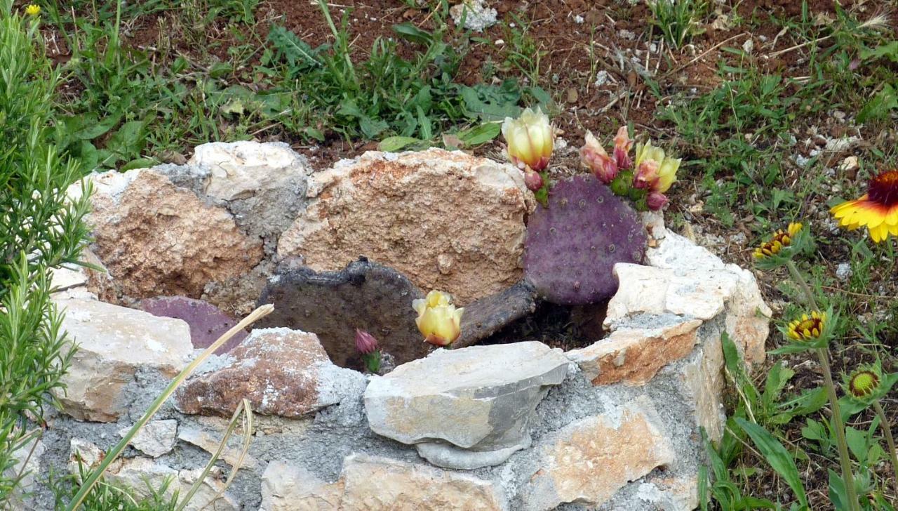 Vila Palme Poreč Exteriér fotografie